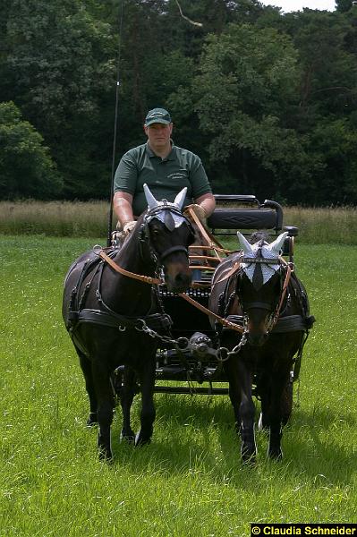 Ponytag Bosbach 2012-042.jpg